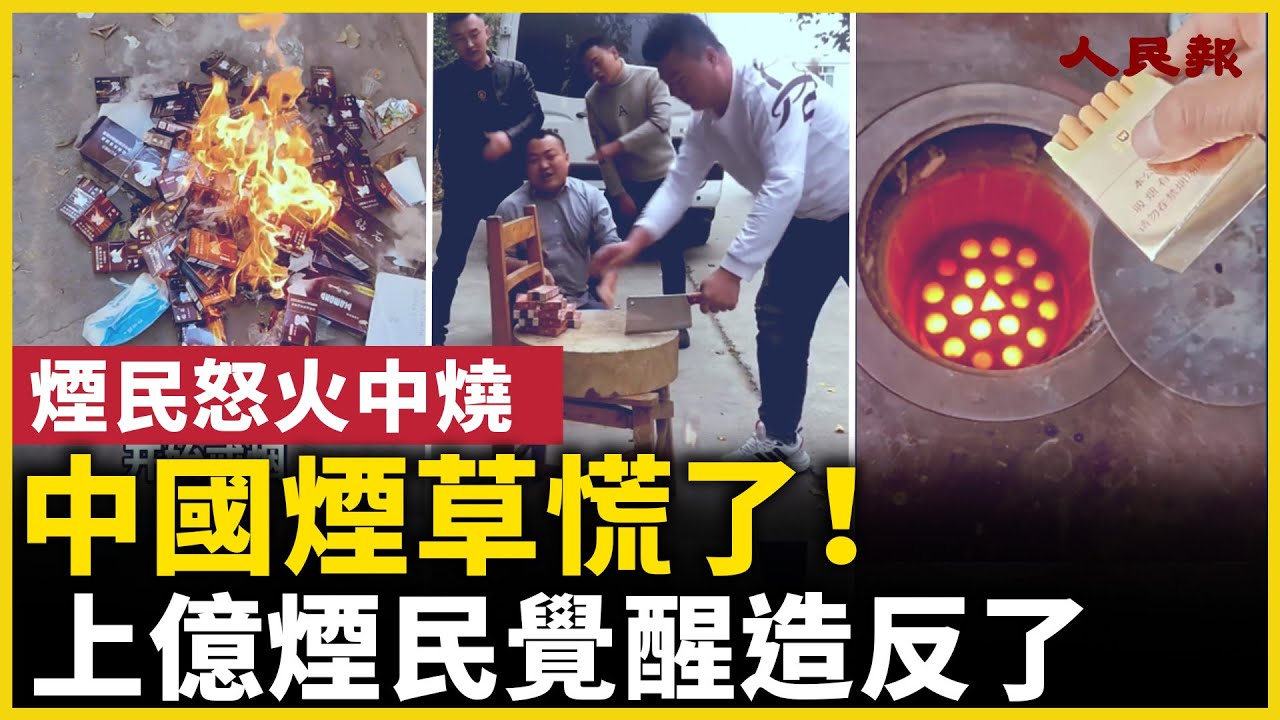 中國煙草慌了！中國上億煙民覺醒造反了！｜ #人民報