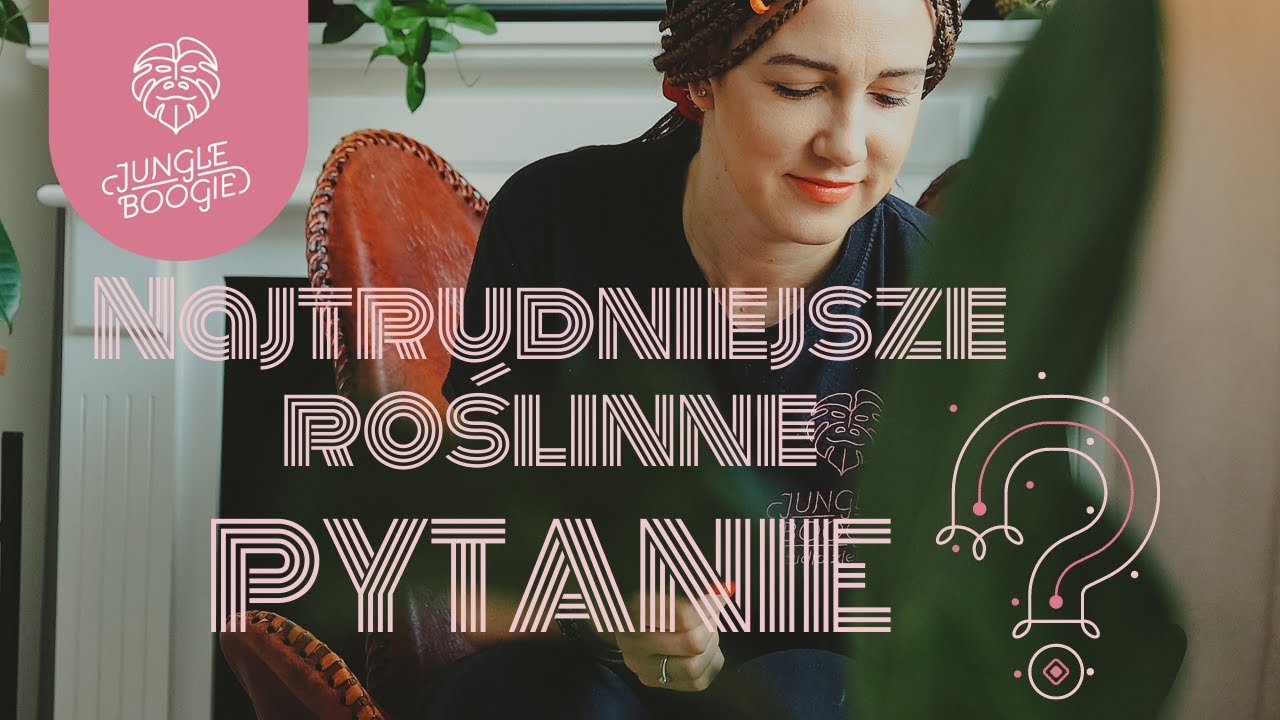 JAK CZĘSTO PODLEWAĆ MOJĄ ROŚLINĘ?💦 Jak ratować przelane i przesuszone rośliny