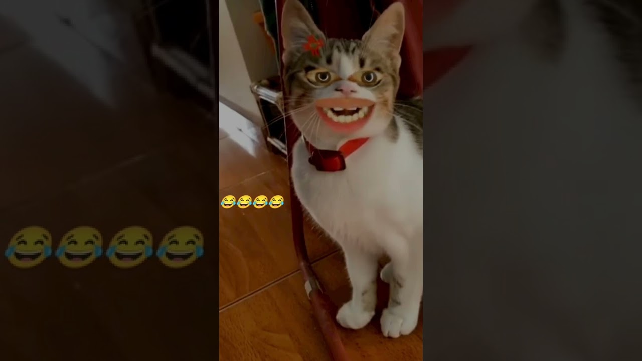 Billy filter comedy video bagad Billa