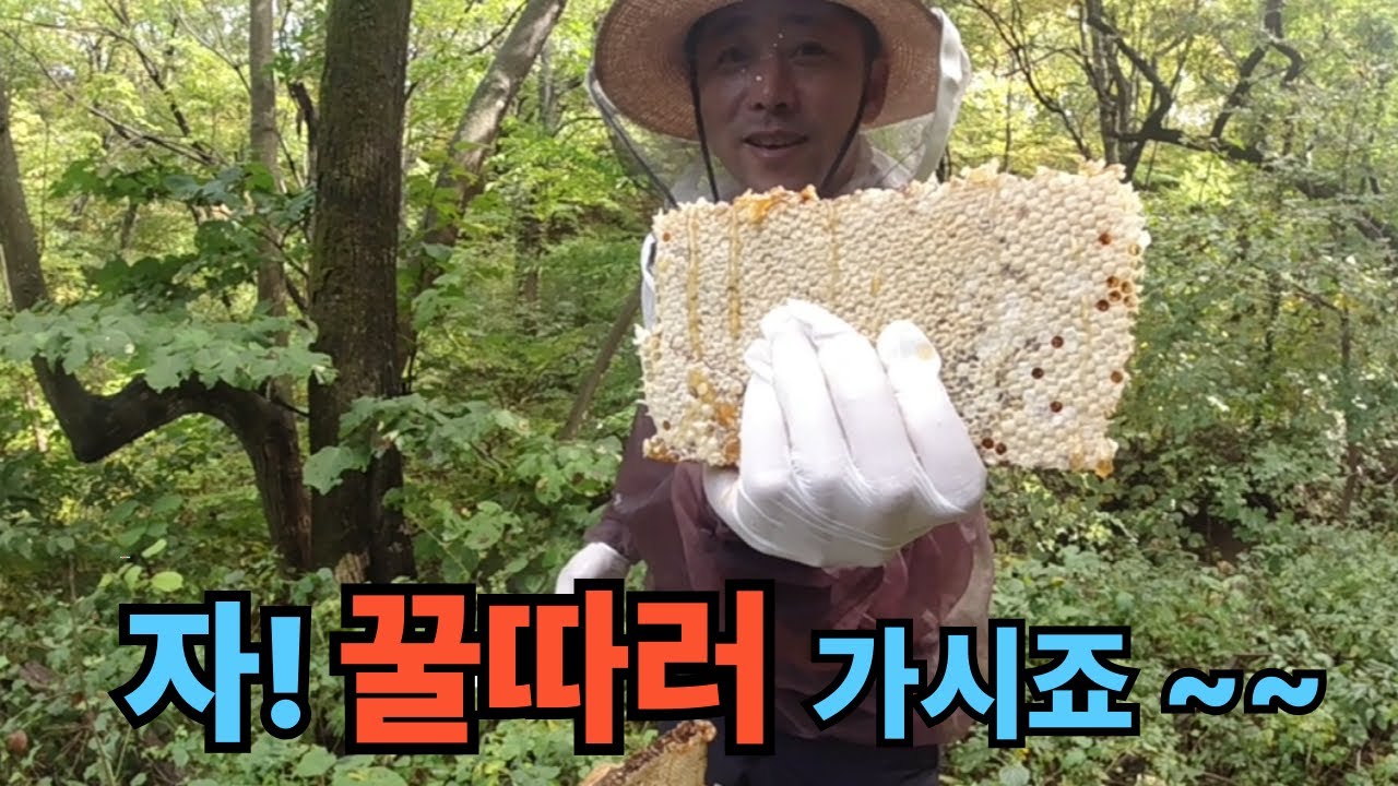 자! 꿀따러 가시죠~~