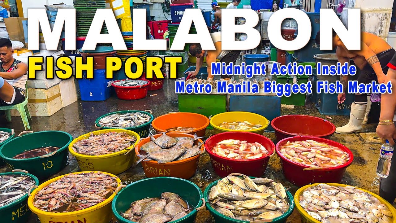 Malabon Fish Port at Midnight | One of Metro Manila’s Biggest Fish Markets