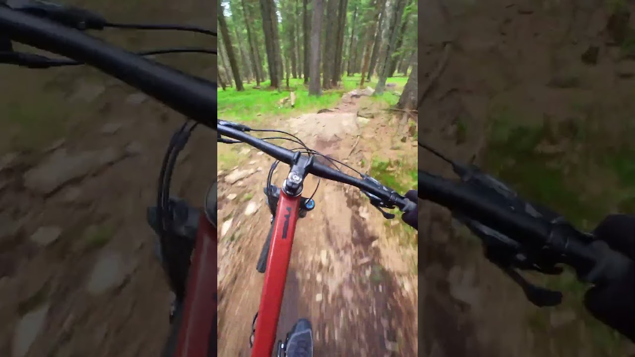Rogla Bike Park - Trail 9 - Rockgardens!