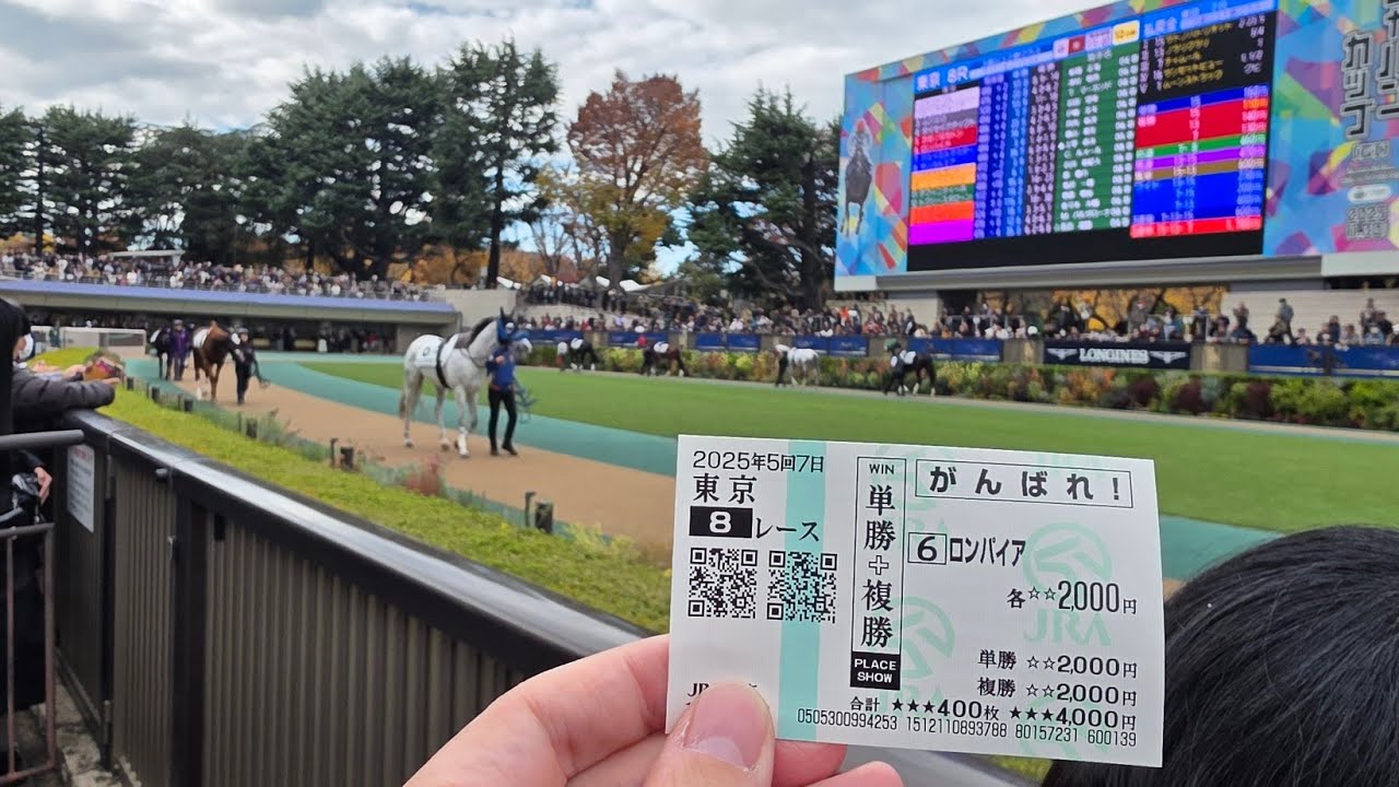 【出資馬動画】2025年11月29日／東京8Ｒ・ 4歳以上2勝クラス／パドック&本馬場入場&レース／ロンパイア(広尾)  丹内 12着