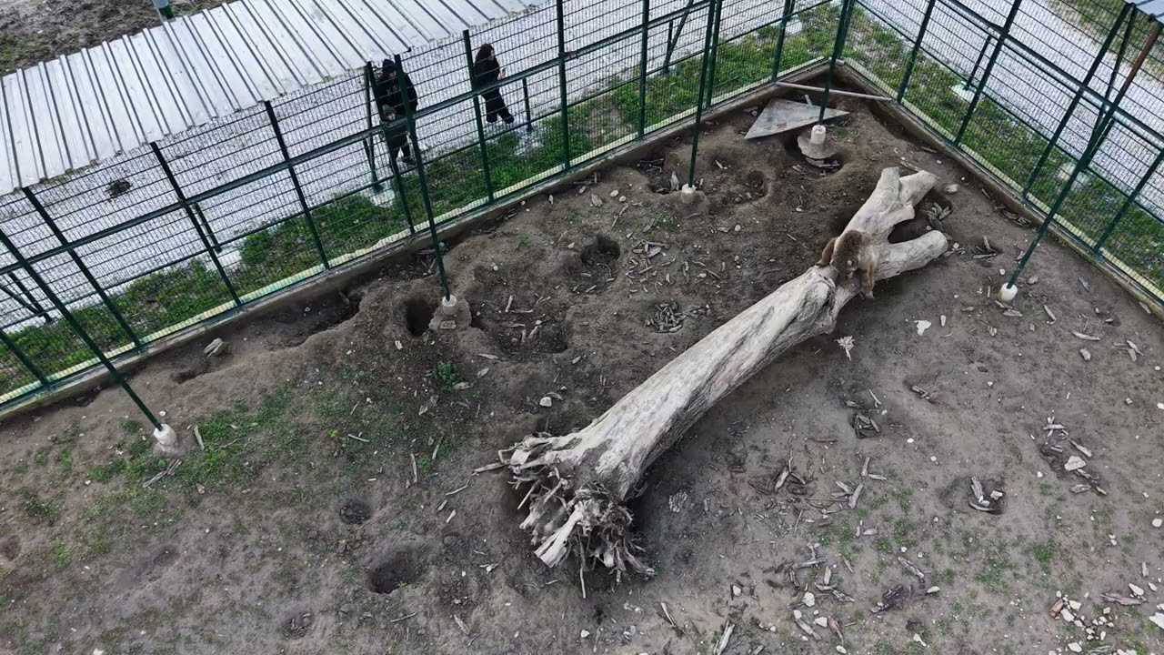 ARİFİYE GÖLYA PARK. + ÇAYBAŞI FUADİYE. 