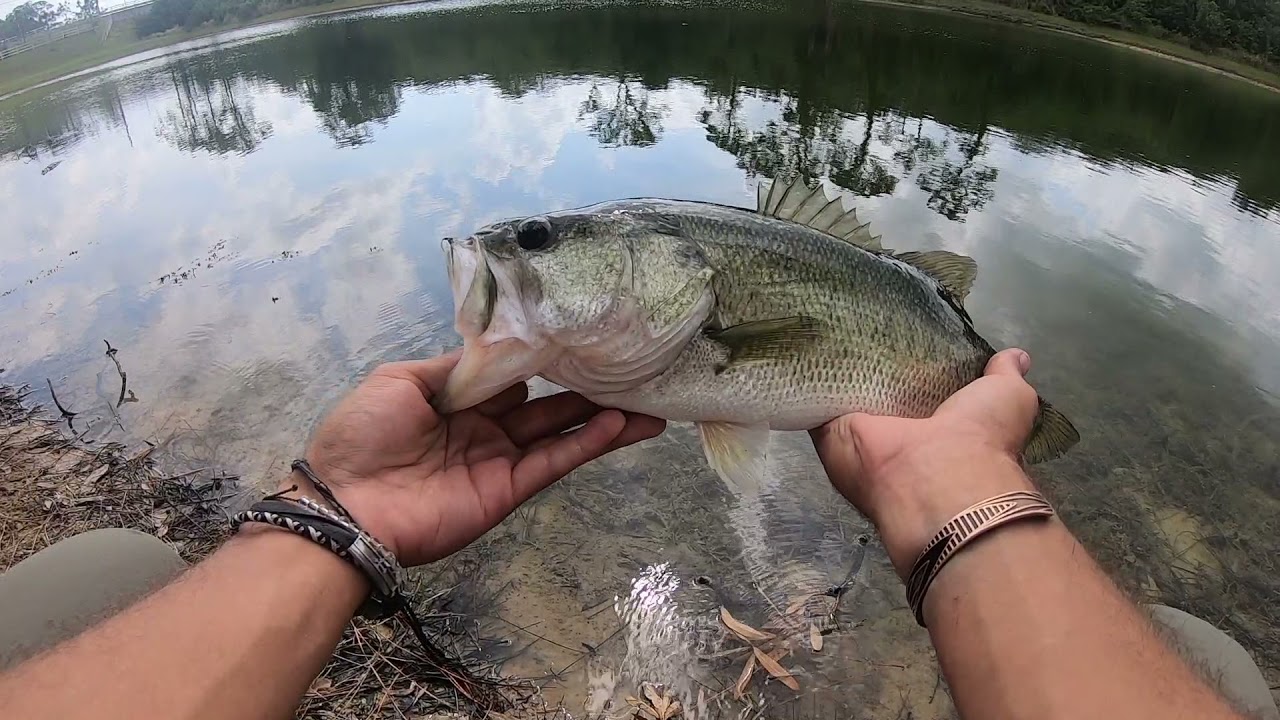 Daily Fishing Routine