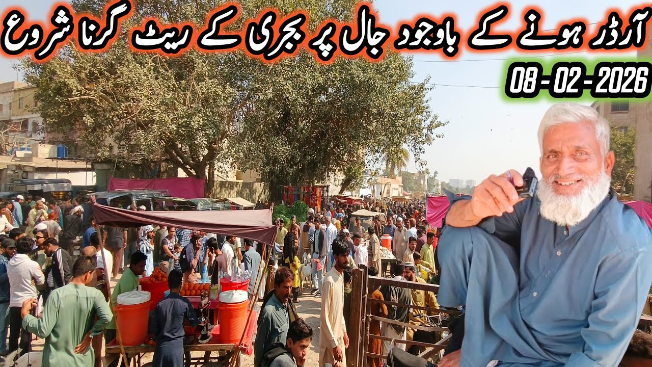Lalukhet Sunday Birds Market Jaal Rare live update 08-feb-2026@SYEDBIRDS
