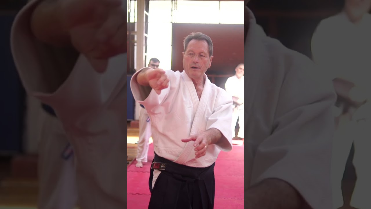 como derrubar #aikido #aikidodemonstration #aikidotechniques  #martialarts