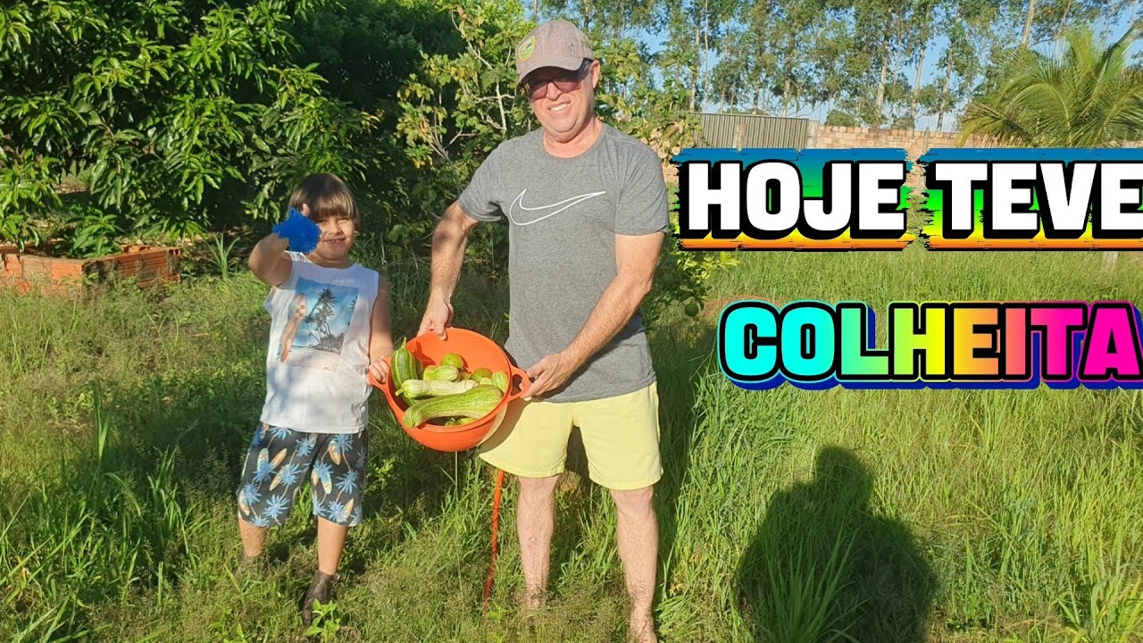 Hoje Colhemos O Que  Plantamos...