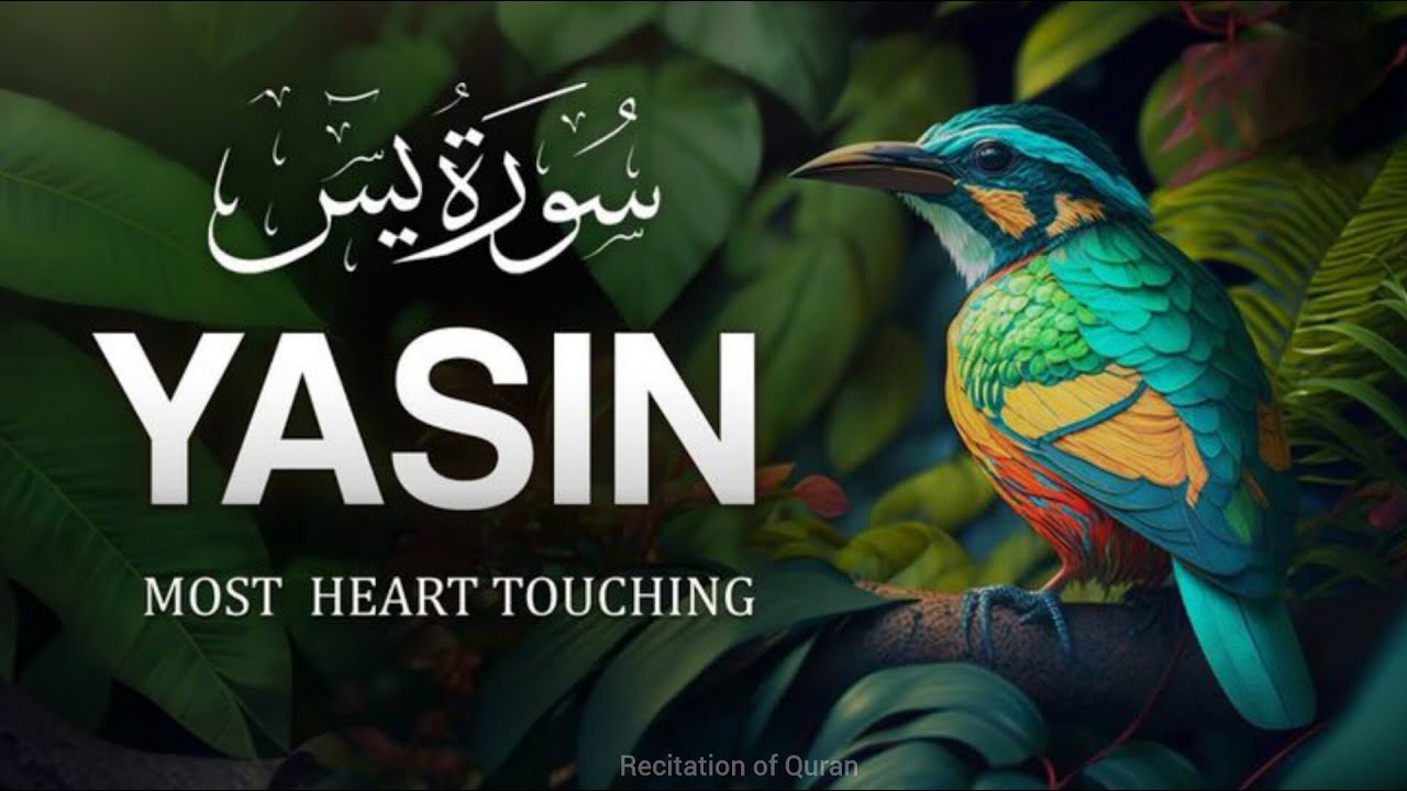 |Most beautiful recitation of surah Yaseen |(سورة يس‎)