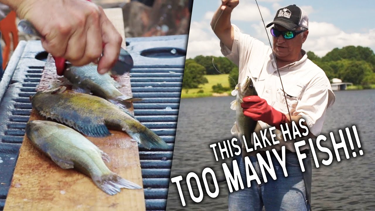 There are TOO MANY FISH!! - The Texas Angler #1