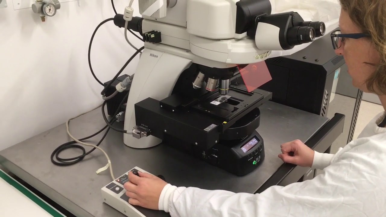 Nikon NiE Fluorescence Microscope