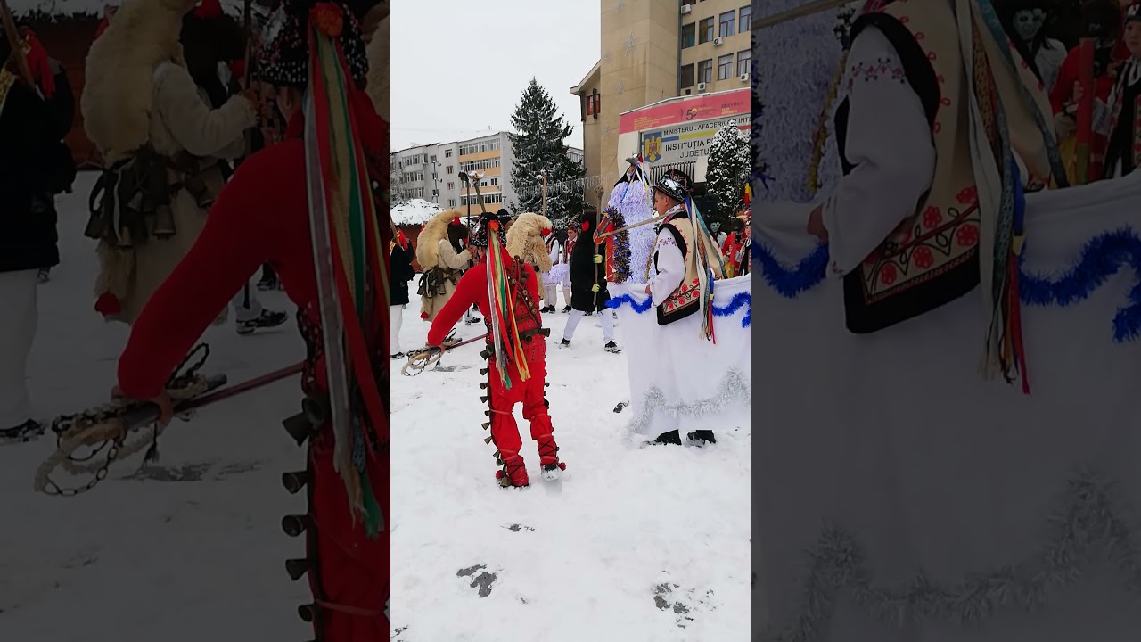 Capra de la Ivanesti 27 decembrie 2021!