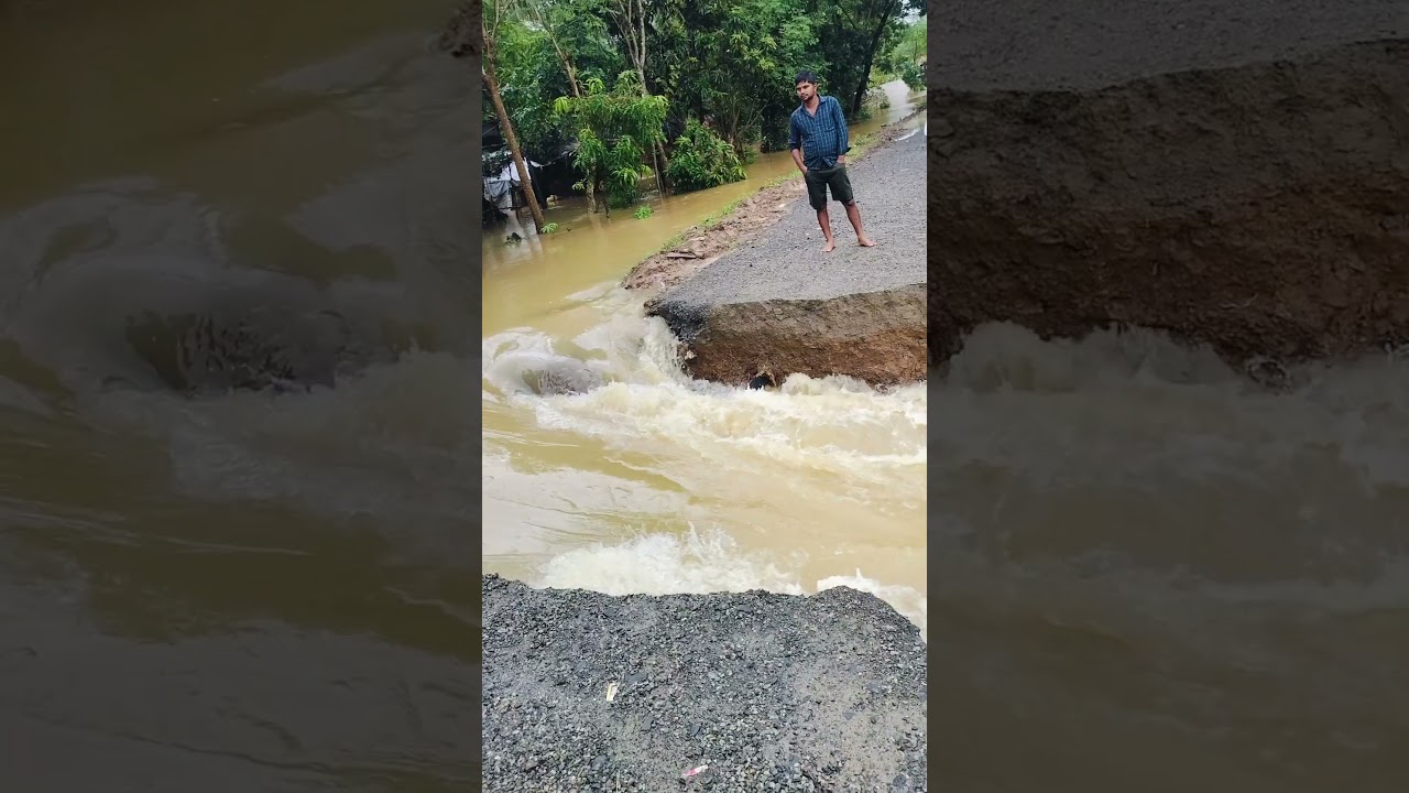 ଧସିଲା ନଦୀବନ୍ଧ, ବୁଡ଼ିବ ଯାଜପୁର !River Embankment Collapses, Jajpur Faces Flood |#jajpur #flood #odisha