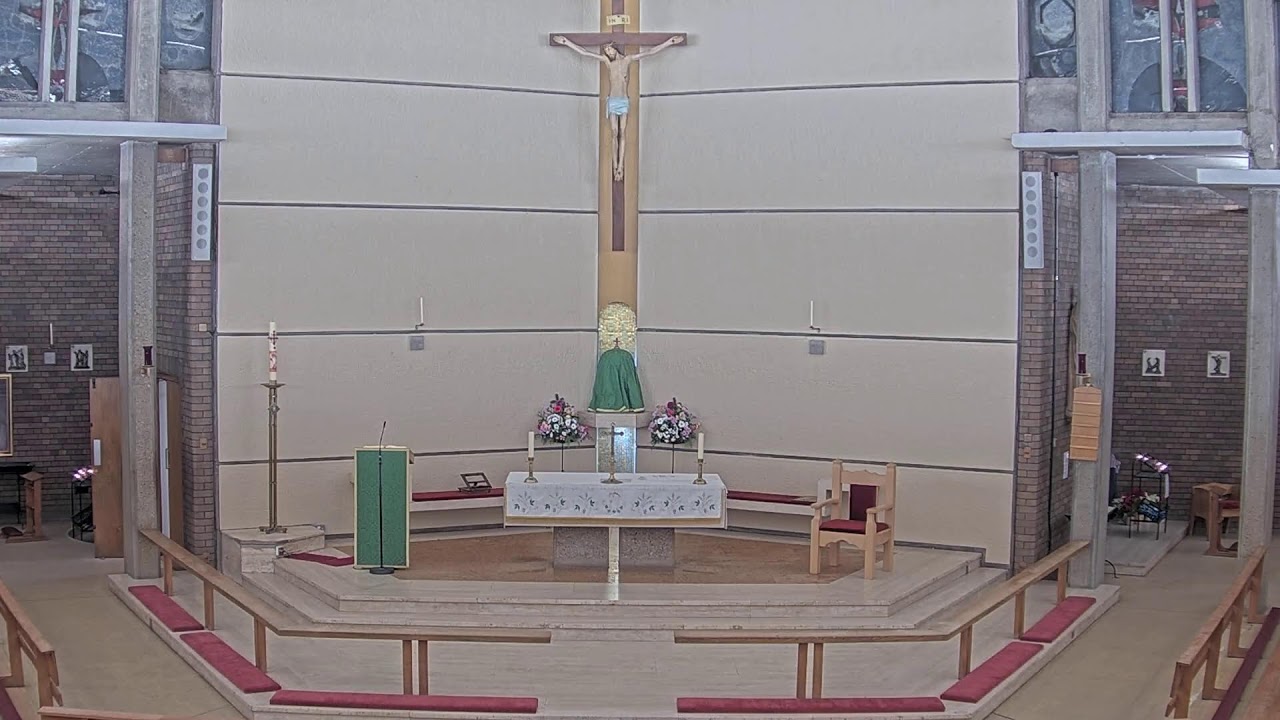 Vigil Mass (31.1.2026) | St Thomas More, Sheldon