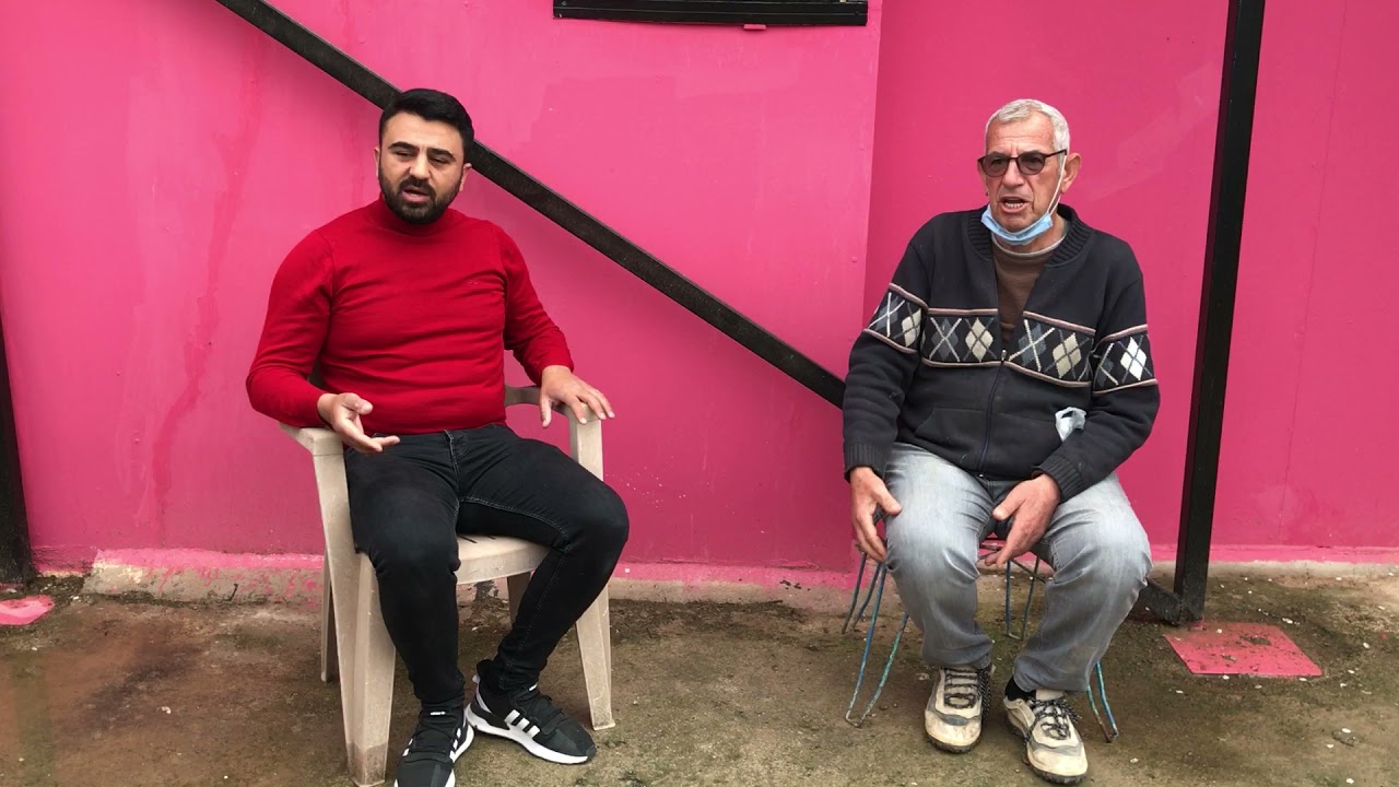 DÖNEK GÜVERCİNİ DEMİRCİ HASAN & Güvercin Dönek Mısıri Bango Saya Canlı Mezatı Erhan İzmir