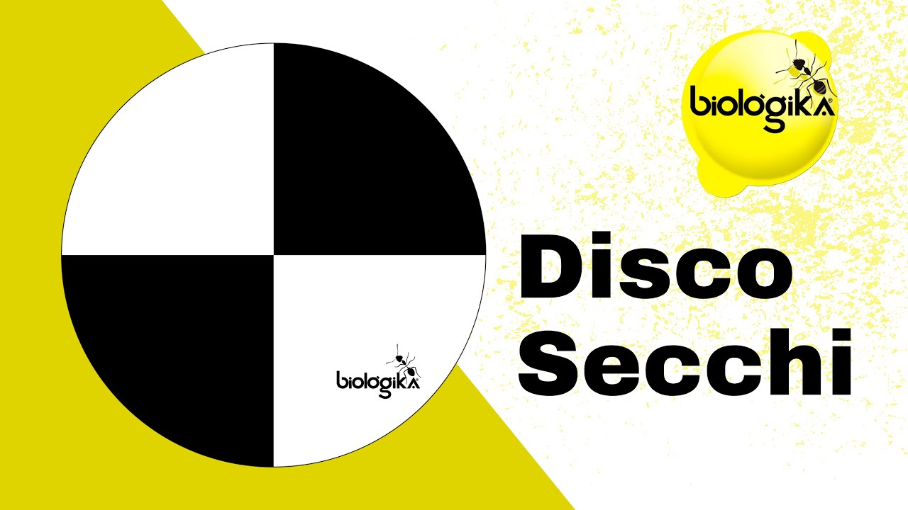 ¿CÓMO USAR EL DISCO SECCHI? - BIOLÓGIKA