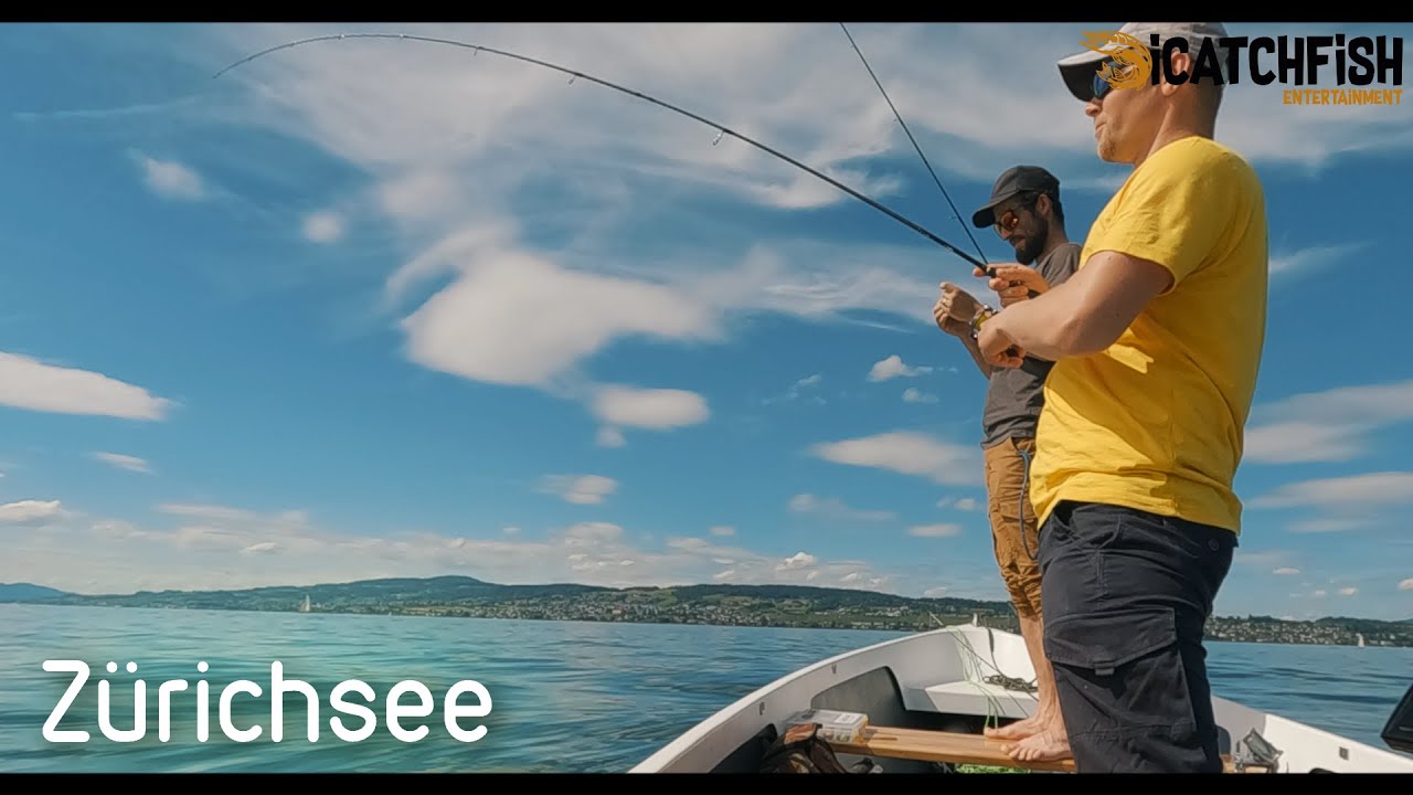 Barschangeln im Fr&uuml;hsommer am Z&uuml;richsee - iCatchFish #Perch #Barsch #angeln