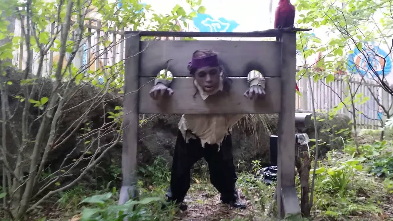 Pirate Island Ride