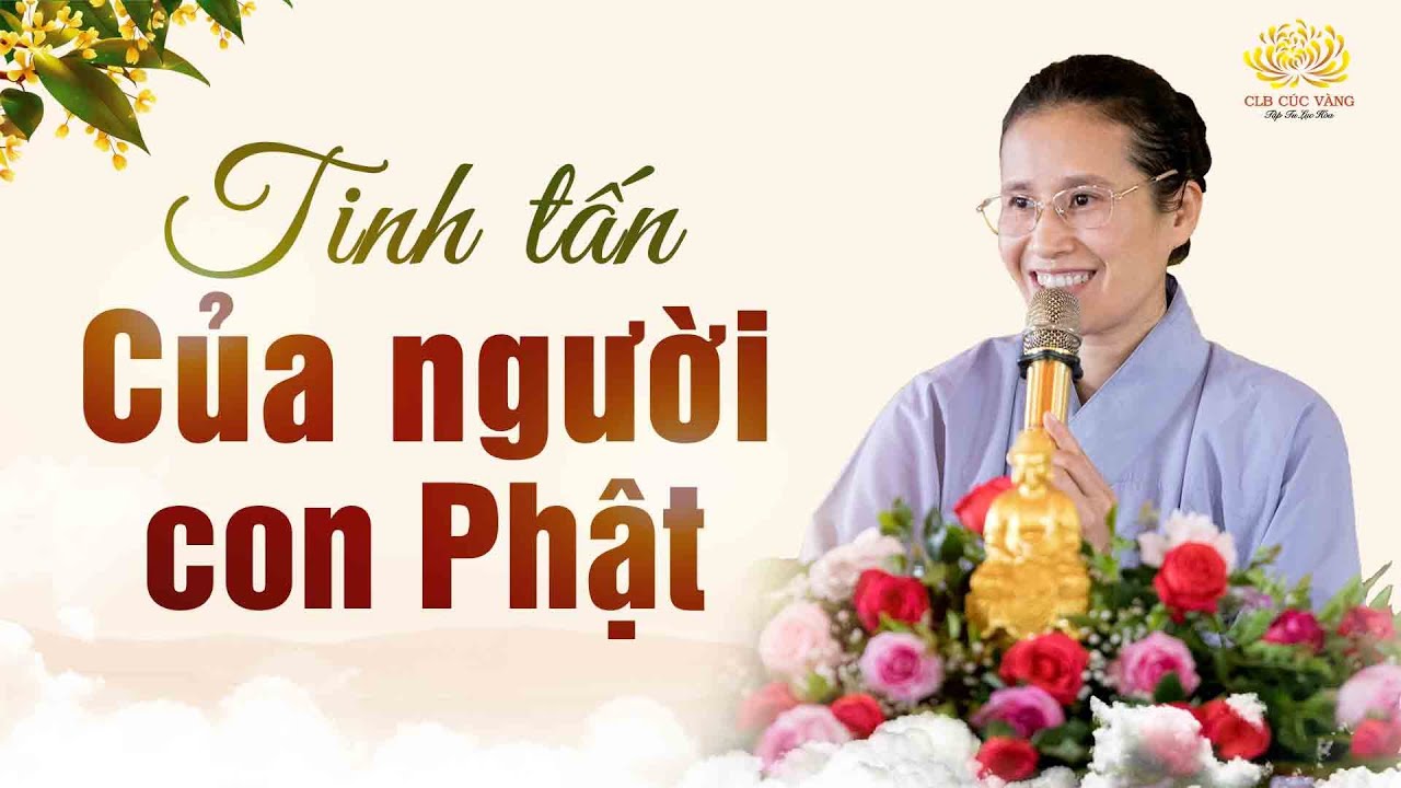 Tinh tấn tu tập của người con Phật