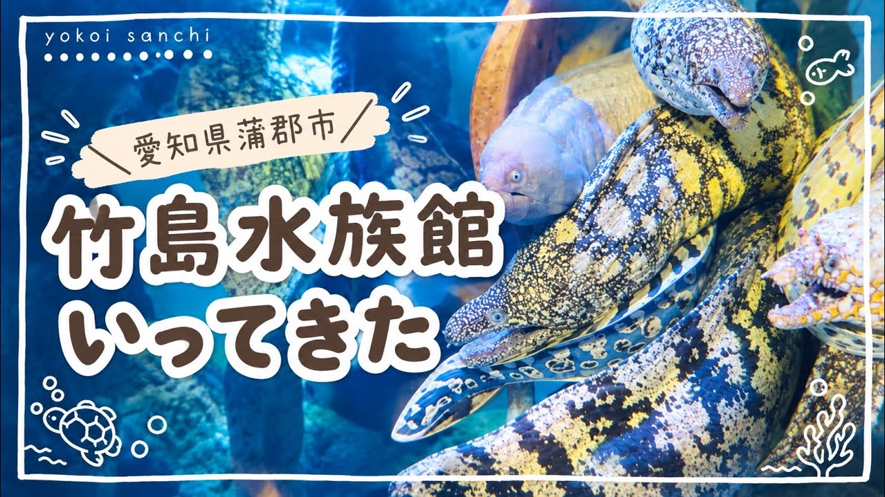 【お出かけVlog】竹島水族館/竹島/生命の海科学館/吉良温泉【愛知県蒲郡市】