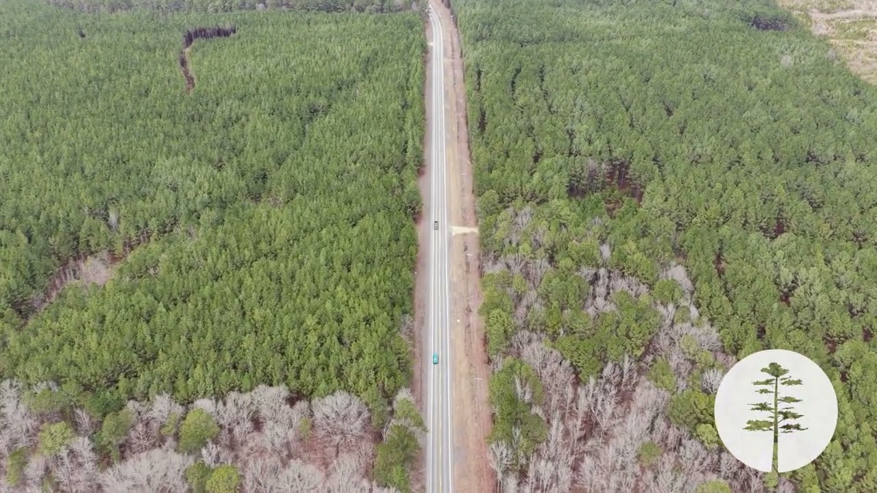 Hwy 35 Grant Co. 97 | Grant County, AR | 97.27 +/- Acres