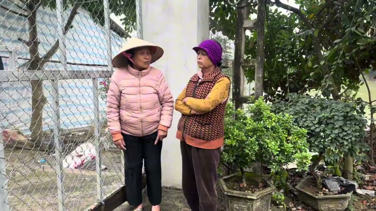 Nghe lời .mu lập mu hải đến khuyên nguyệt về