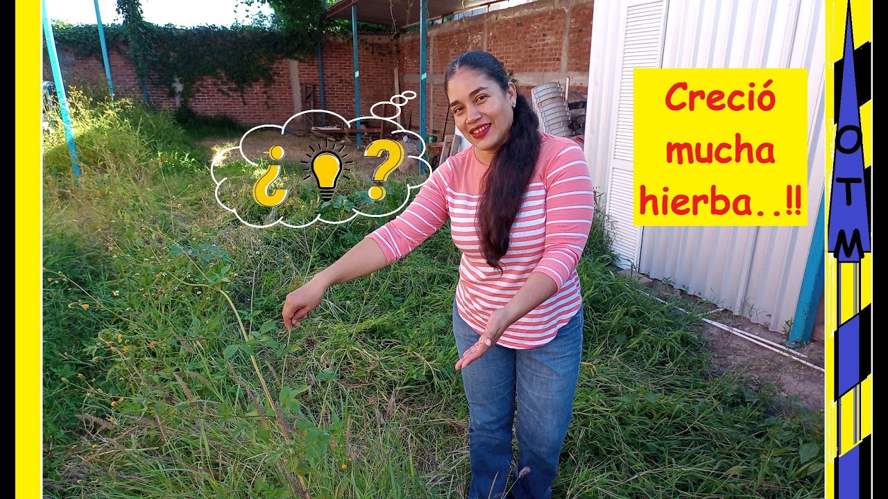 Unboxing, armado y review de desbrozadora