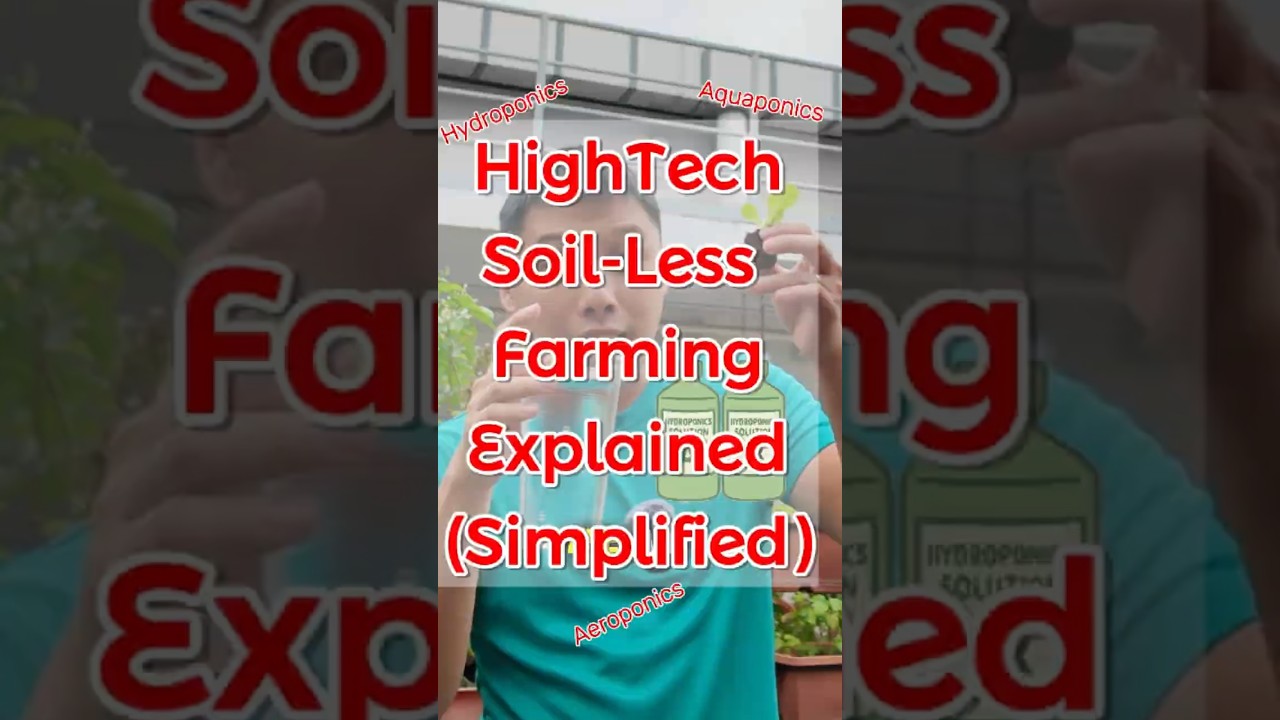 High Tech Soil-Less Farming Explained. Hydroponics, aquaponics, aeroponics.