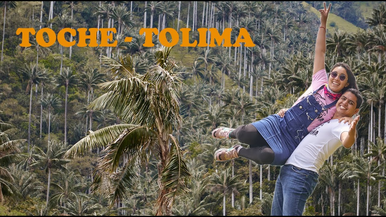 TOCHE - TOLIMA 4K | BOSQUE DE PALMA DE CERA MAS GRANDE DEL MUNDO | MAVIC AIR2