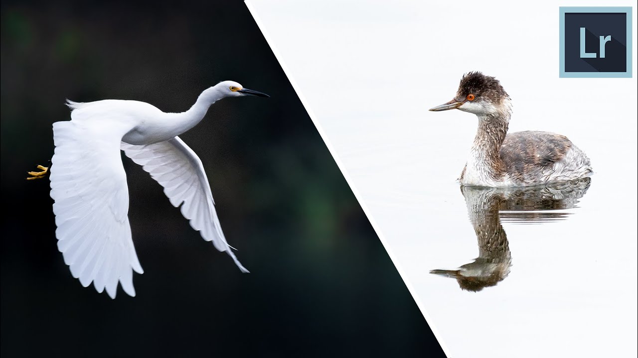 Низкий и высокий ключ | КАК редактировать в LIGHTROOM