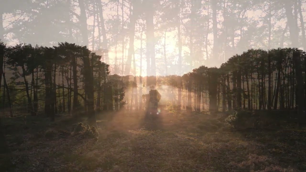 Swamp Remaster Video | Immersive | Ambient Chant