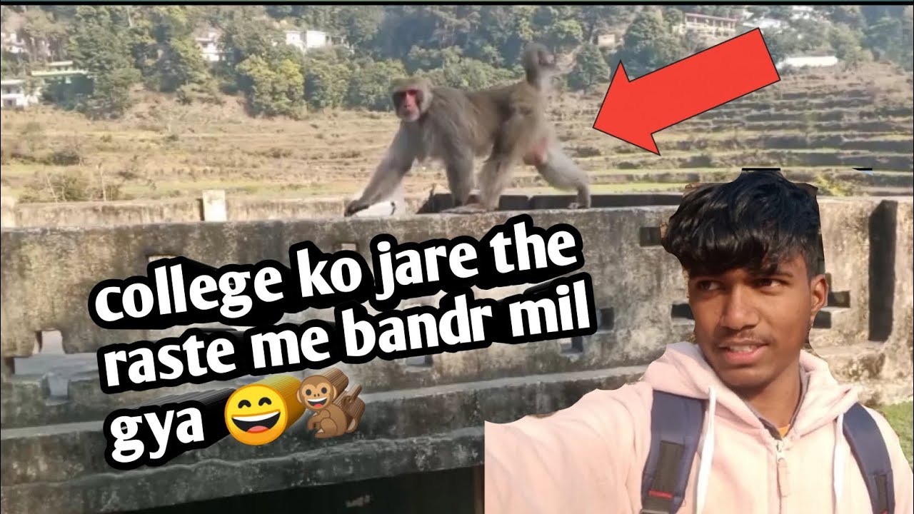 College ko jare the raste me bandr mil gaya 😄🐒