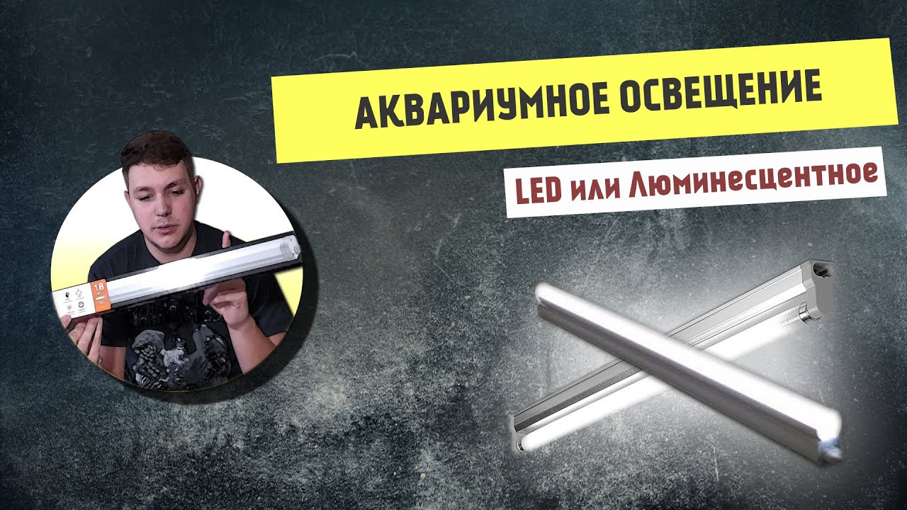 АКВАРИУМНОЕ ОСВЕЩЕНИЕ|Основы,Кельвин,Люмен,Ватт. Светодиодное и Люминесцентное