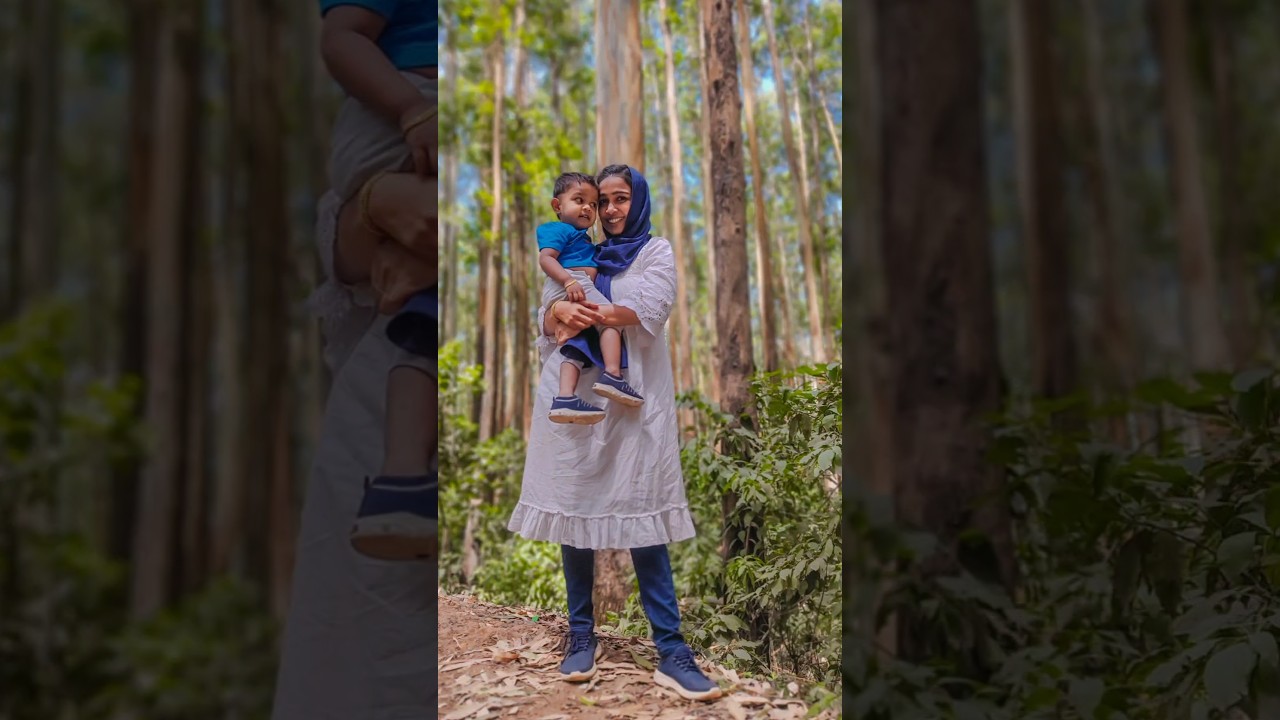 📍 Ooty | Travel Diaries | Pine Forest | Photography | memories | Photo Dump