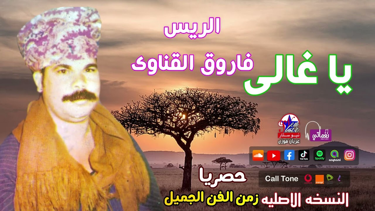فاروق القناوى - يا غالى