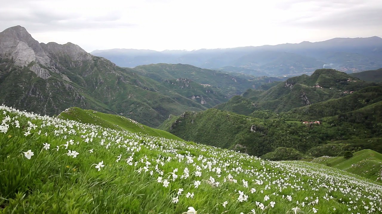 Bulgarian Native Song/Българска народна песен/