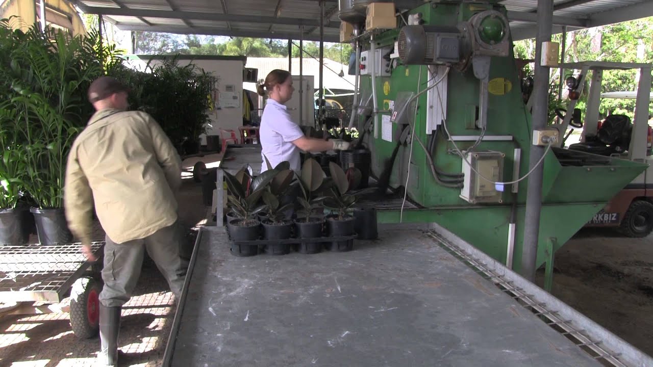 Production Potting