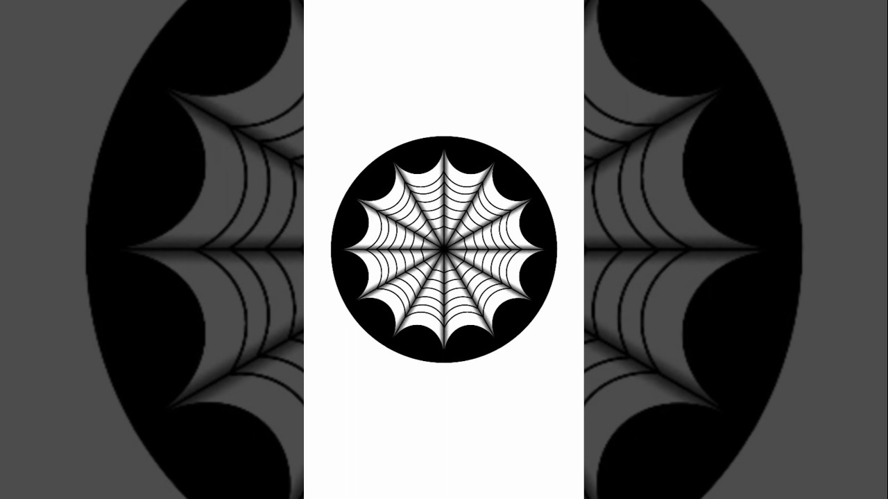 illustration of a black and white spider web ||  Easy optical illusion | 3D Drawing Tricks