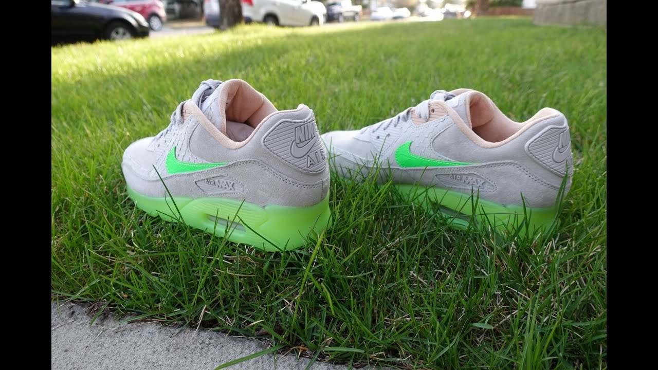 Nike Air Max 90 Premium - New Species - Review & On Feet