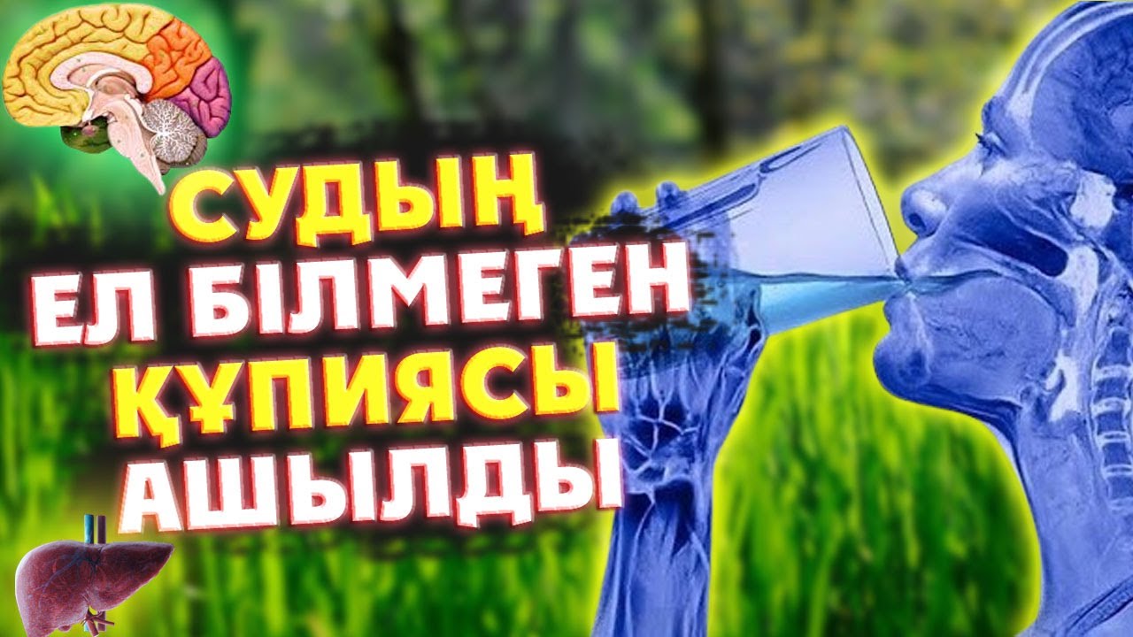 30 КҮН СУ ІШУДІҢ ЕЛДЕ ЖОҚ ҚҰПИЯСЫ ПАЙДАСЫ АШЫЛДЫ, СУДЫҢ АЙТЫЛМАҒАН ПАЙДАСЫ, Керек арнасы