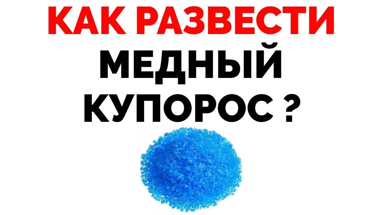 Как развести медный купорос для обработки стен от плесени ?
