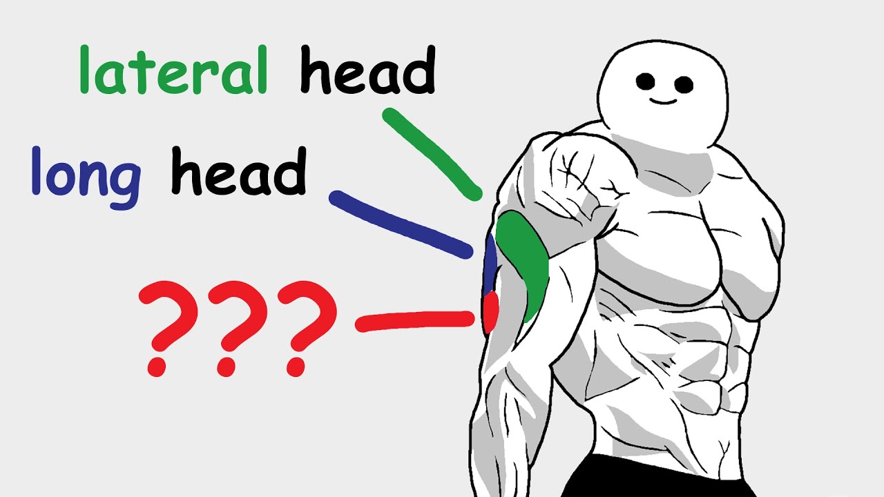 3 Triceps Heads, But You Only Train 2 (but why?)