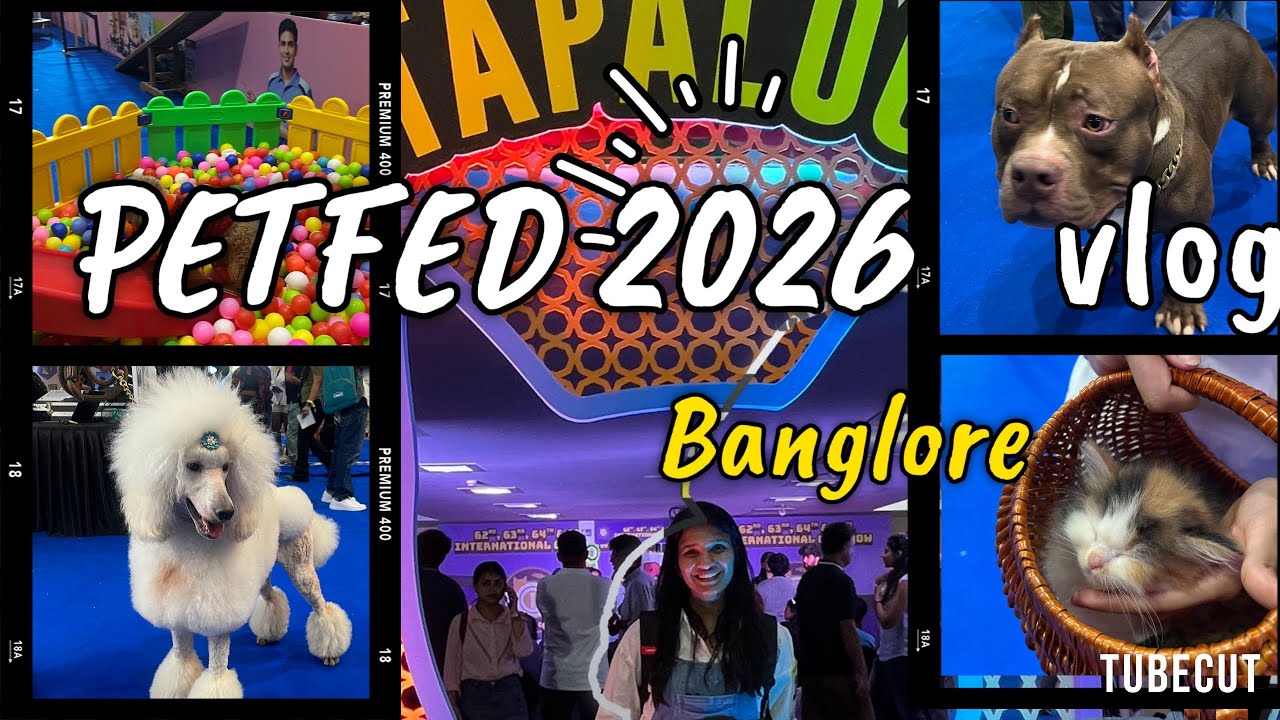 A day at PETFED exhibition,banglore 🐱😺🦮🐶🐩❤️