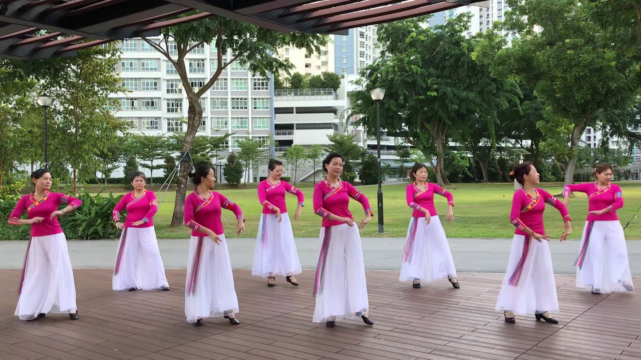 新加坡晨曦广场舞 形体舞 《梅花泪》