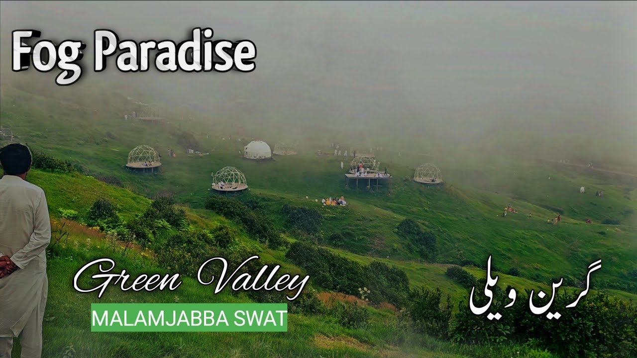 Whispers of Green Valley – A Misty Afternoon in Malam Jabba