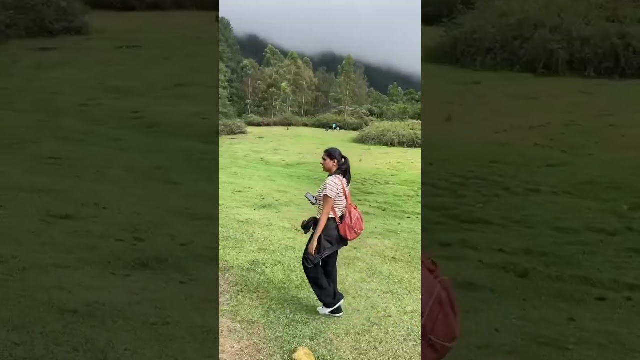 Silent valley| offbeat |munnar