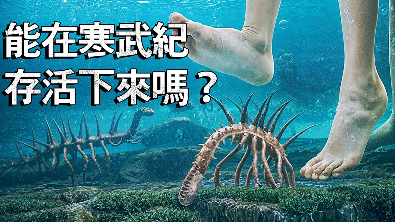 現代人類有可能在寒武紀生存嗎？