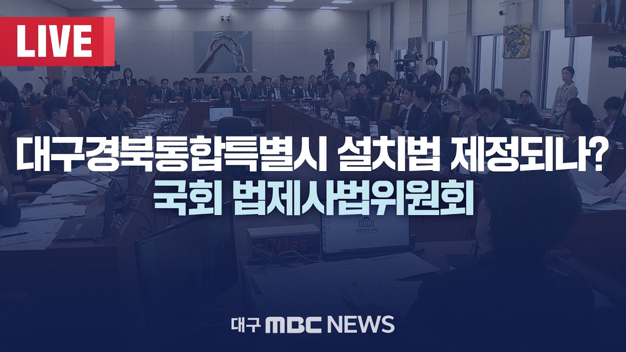 대구경북통합특별시 설치법 제정되나? 국회 법제사법위원회 [LIVE] | 대구MBC 2026년 2월 23일
