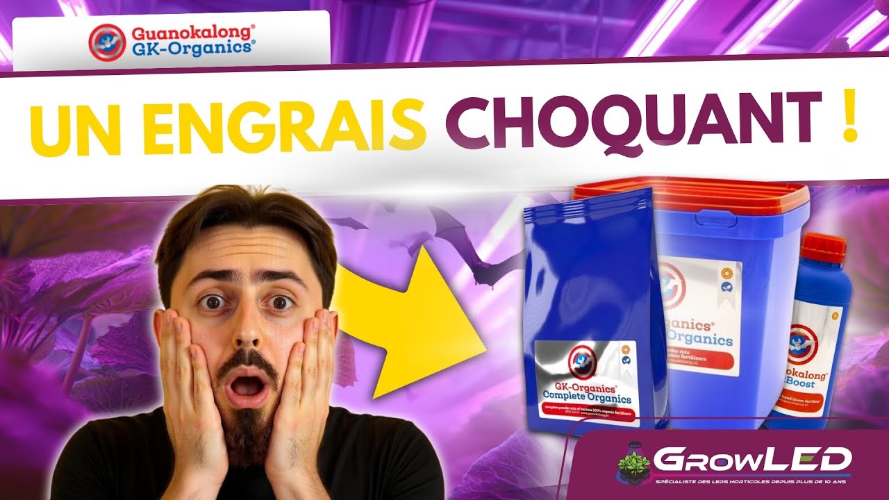 Des Engrais &agrave; base d'excr&eacute;ments de chauve souris ?! GuanoKalong