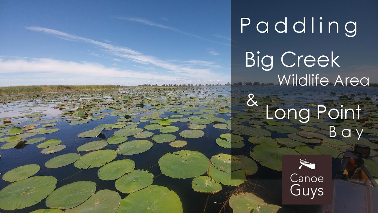 Long Point & Big Creek Marsh - National Wildlife Area